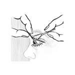 »Auge«